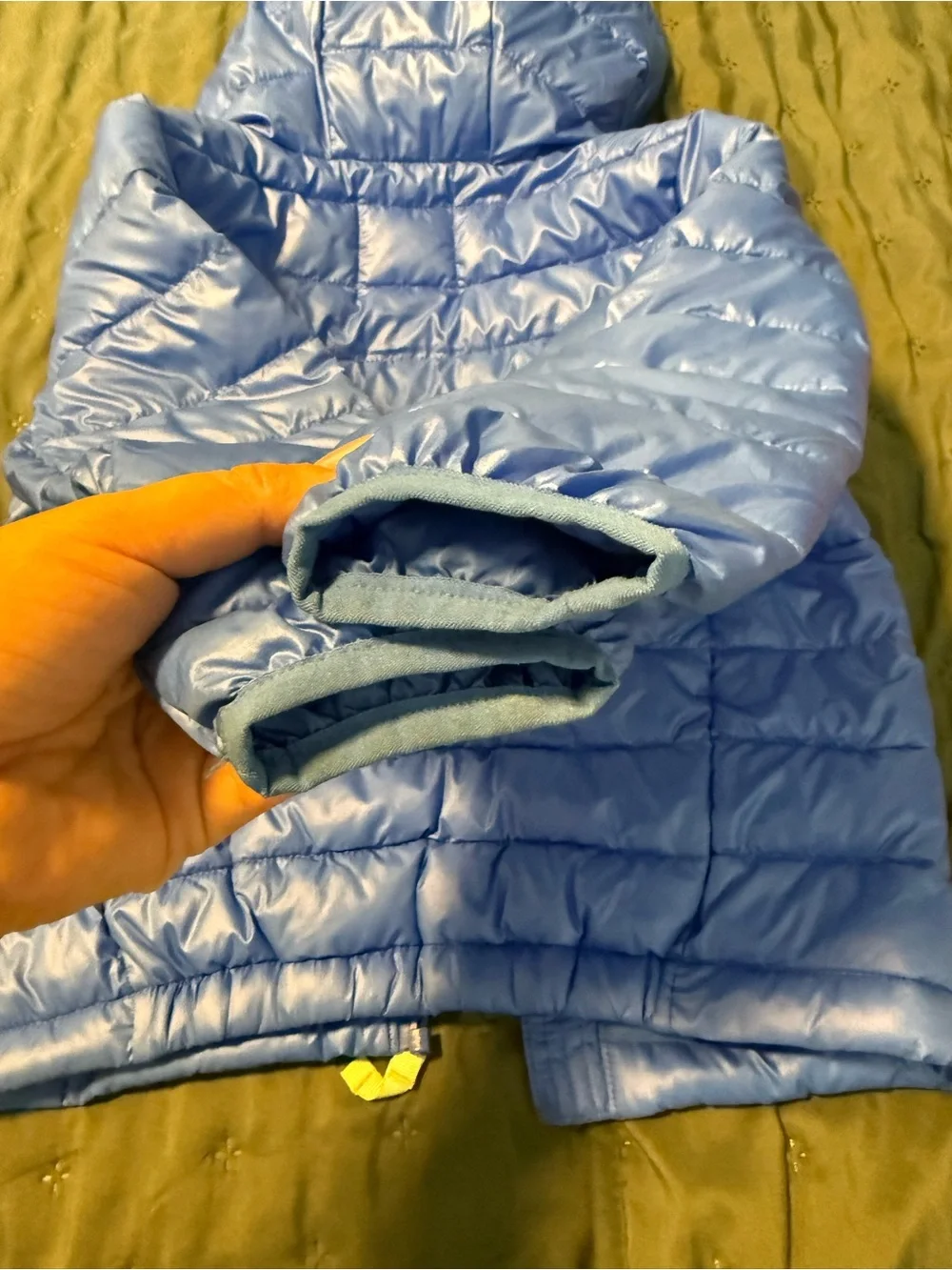 Primary Blue Hooded Puffer Jacket - Blue